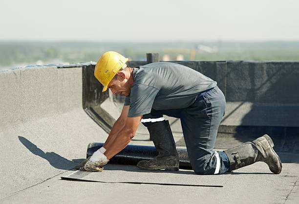 Best Insulation Contractors for Homes  in Benton, IL